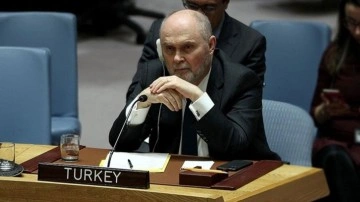 Türkiye'nin BM sürekli mümessili Feridun Sinirlioğlu görevden alındı