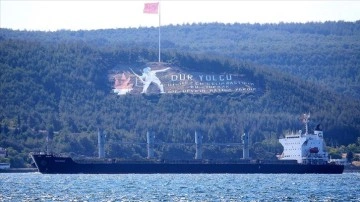 Ukrayna'dan denize oluşturulan darı iki canlı "Navi Star" Çanakkale Boğazı'ndan geçti
