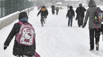 Yoğun kar yağışı dolayısıyla 14 ilde okullarda beniz yüze tahsile boşluk verildi