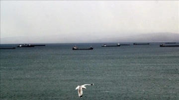 Yük gemileri güçlü yel zımnında Sinop saf limanına demirledi